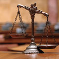 Litigation & trial support